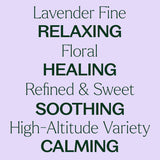 Lavender Fine Essential Oil