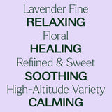 Lavender Fine Essential Oil