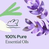 Lavender Rosemary Essential Oil Blend