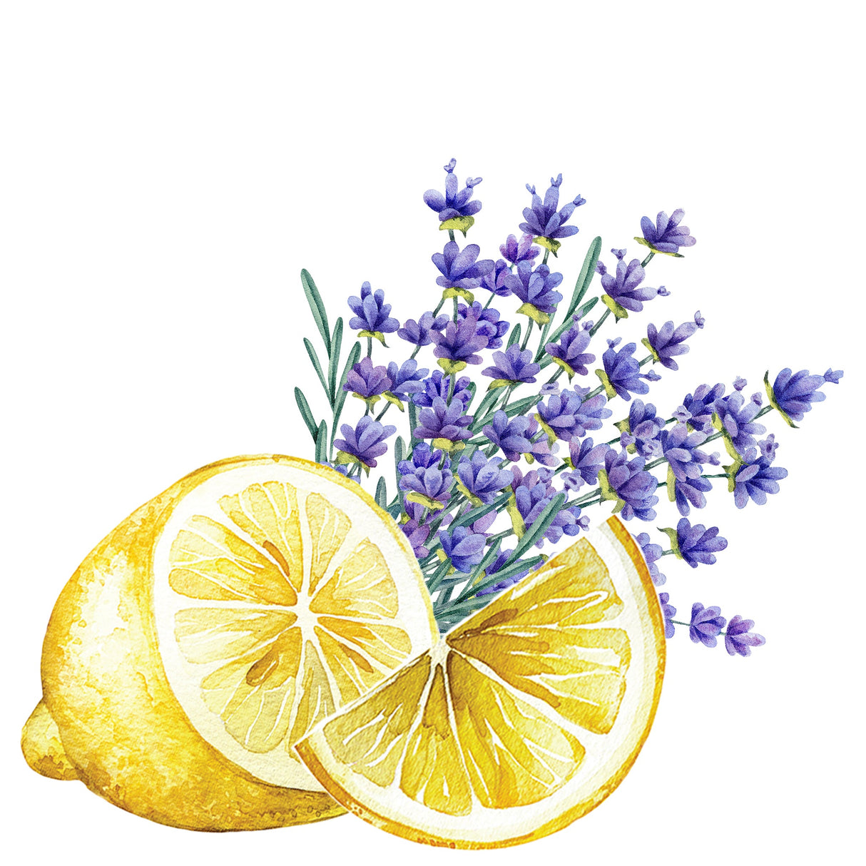 Lots of Purpose Spray Cleaner | Lavender & Lemon