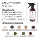 Liniment Spray for Horses - 16oz