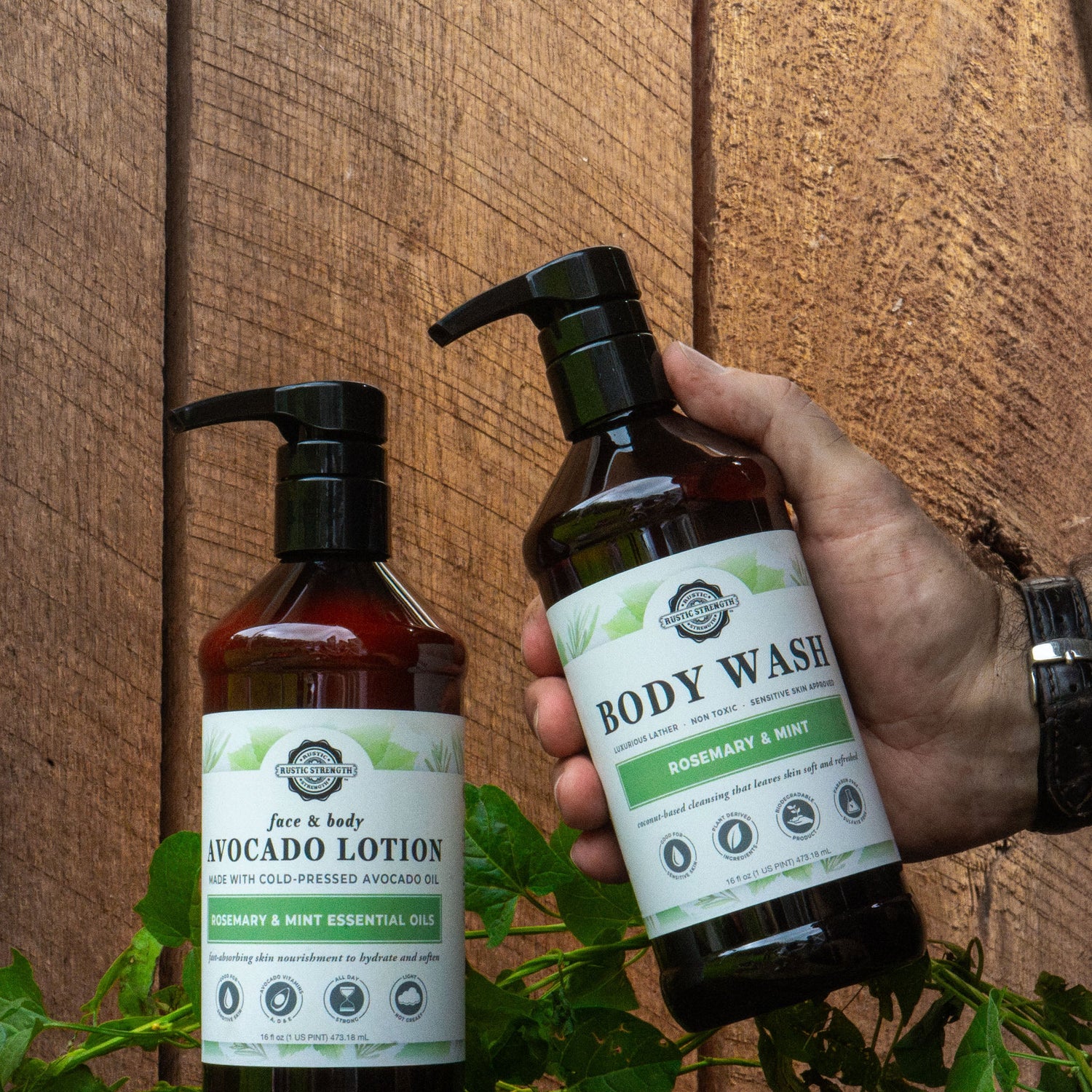 Avocado Lotion | Rosemary & Mint