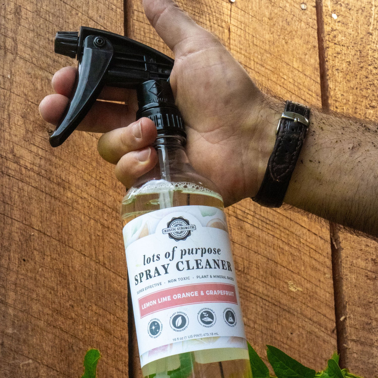 Lots of Purpose Spray Cleaner | Lemon, Lime, Orange & Grapefruit