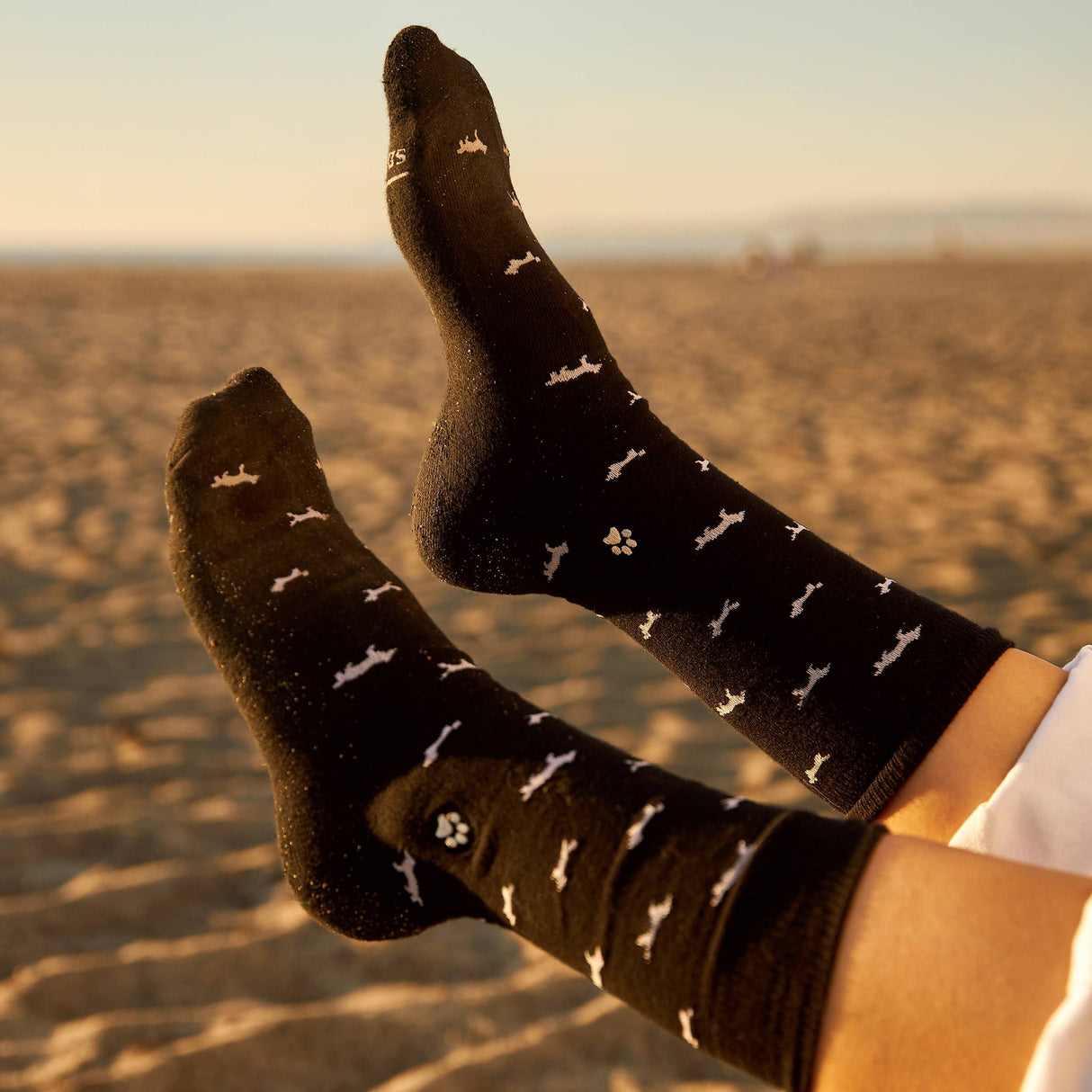 Socks that Save Dogs