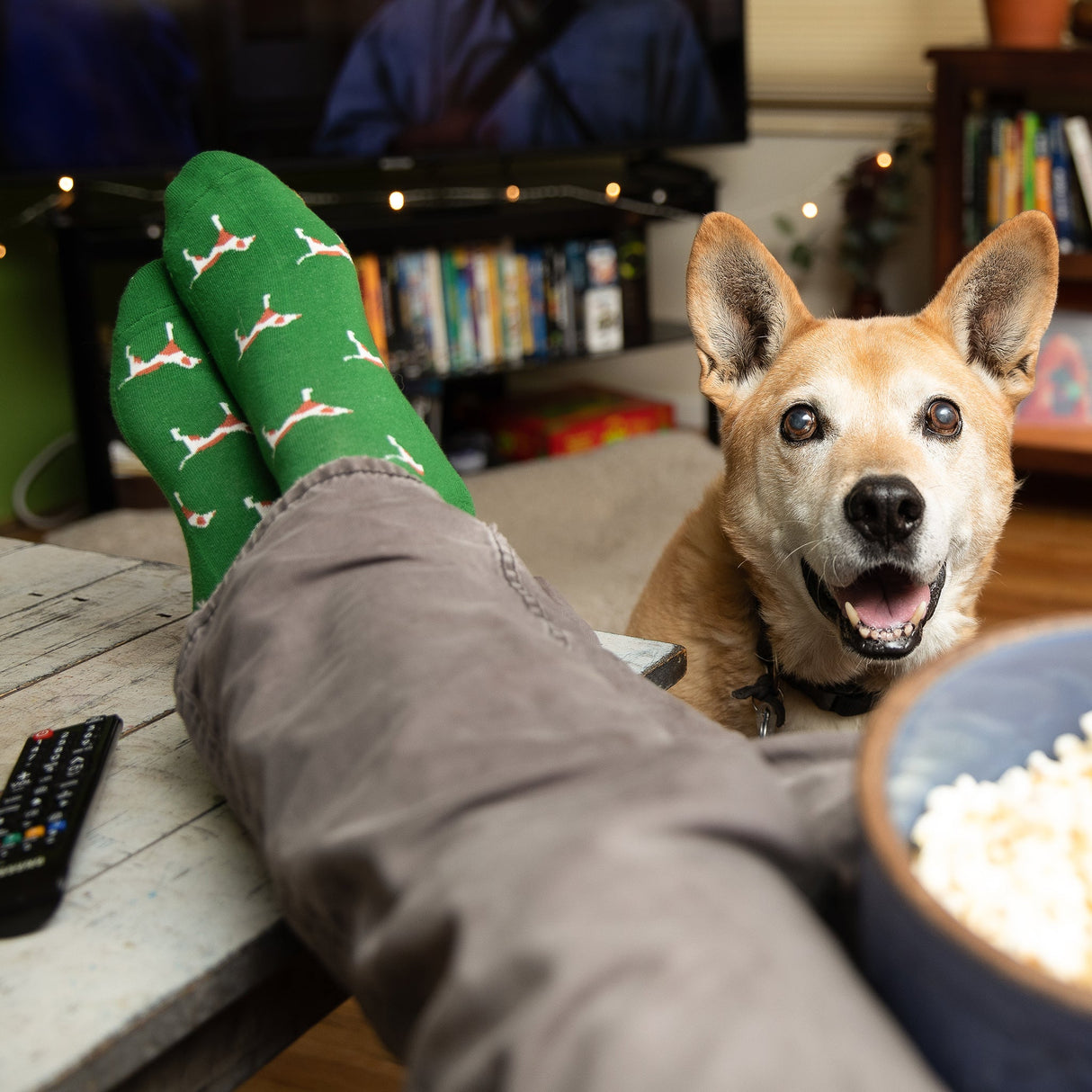 Socks that Save Dogs