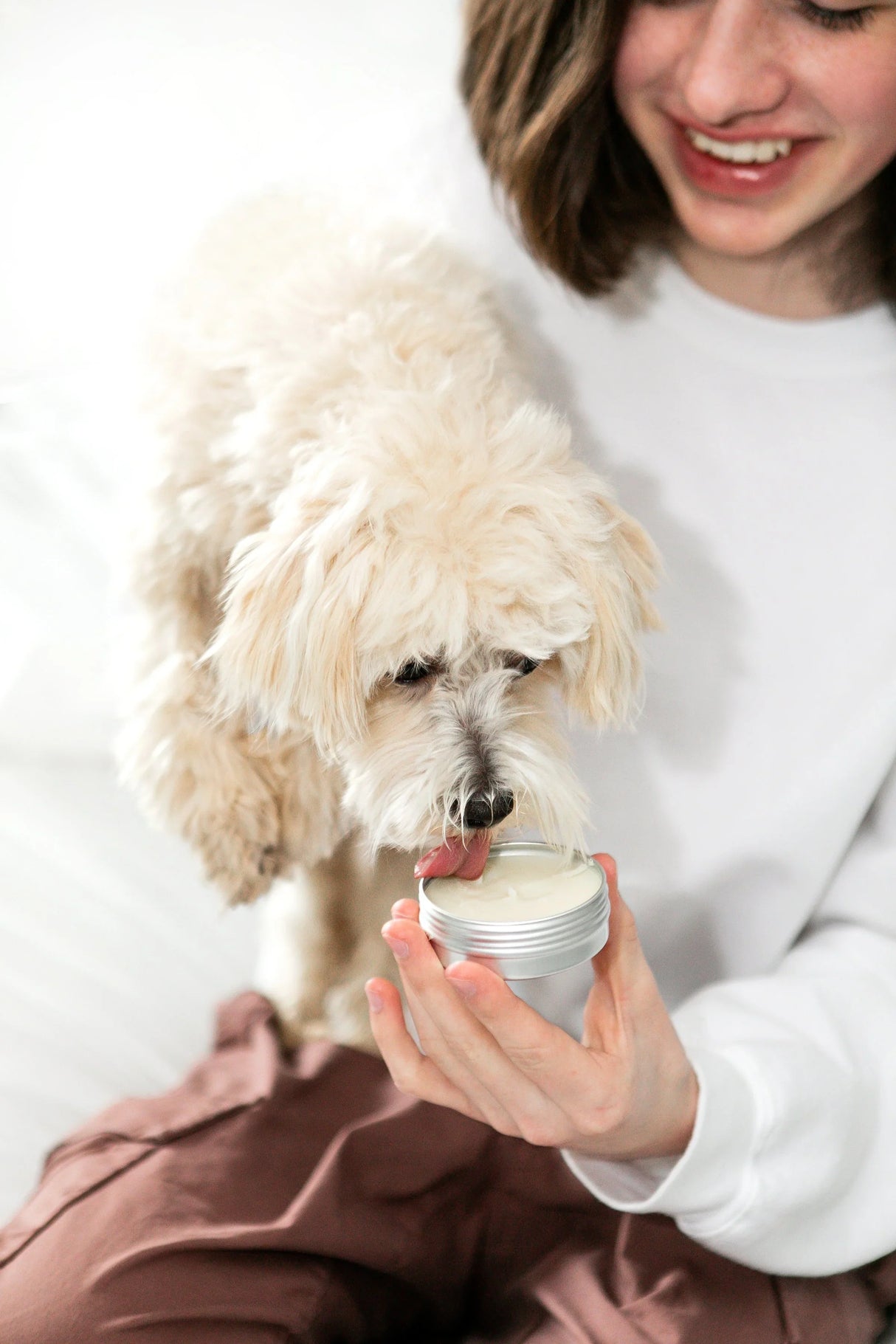 Paw Balm for Dogs