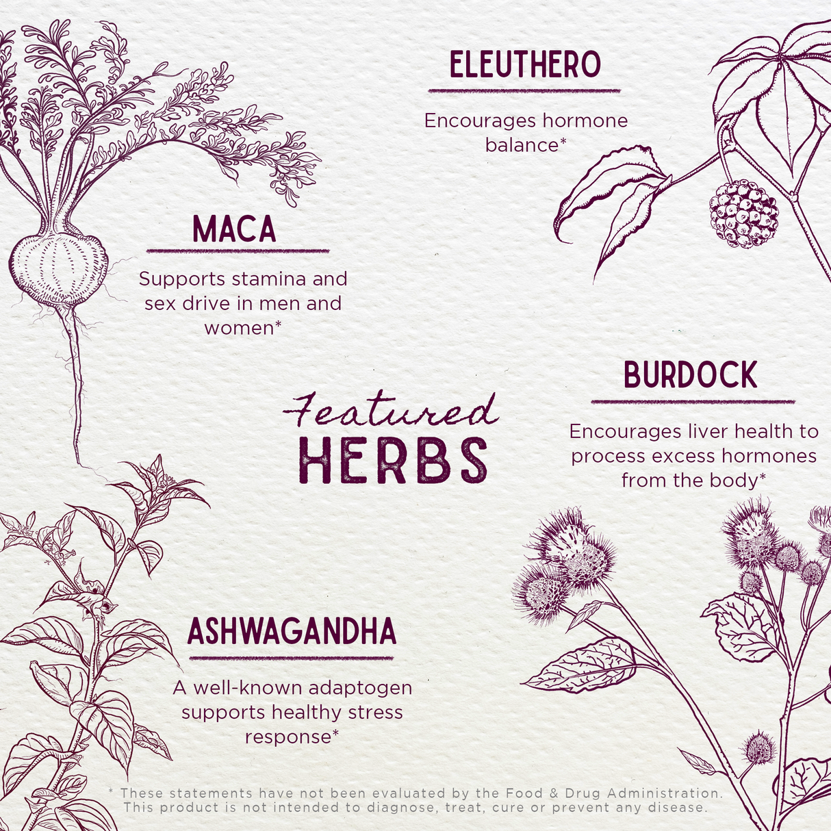 Male Mojo Libido Enhancer