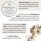 Manuka Honey Salve for Dogs, Horses & Humans