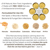 Manuka Honey Salve for Dogs, Horses & Humans