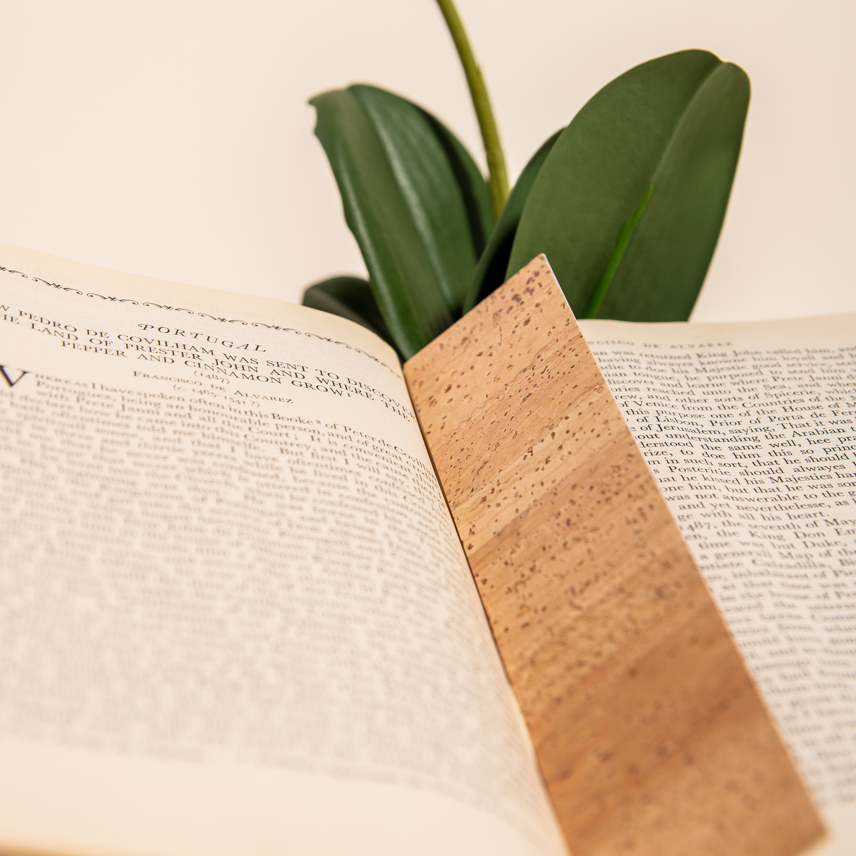 Readers' Choice Bookmark