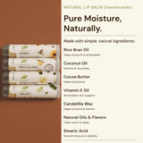 Natural Lip Balm (Handmade)
