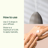 Organic Basil Linalool Essential Oil