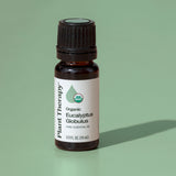 Organic Eucalyptus Globulus Essential Oil