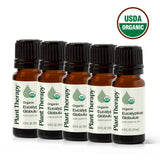 Organic Eucalyptus Globulus 5-Pack