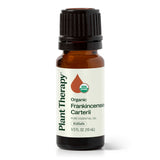 Organic Frankincense Carterii Essential Oil