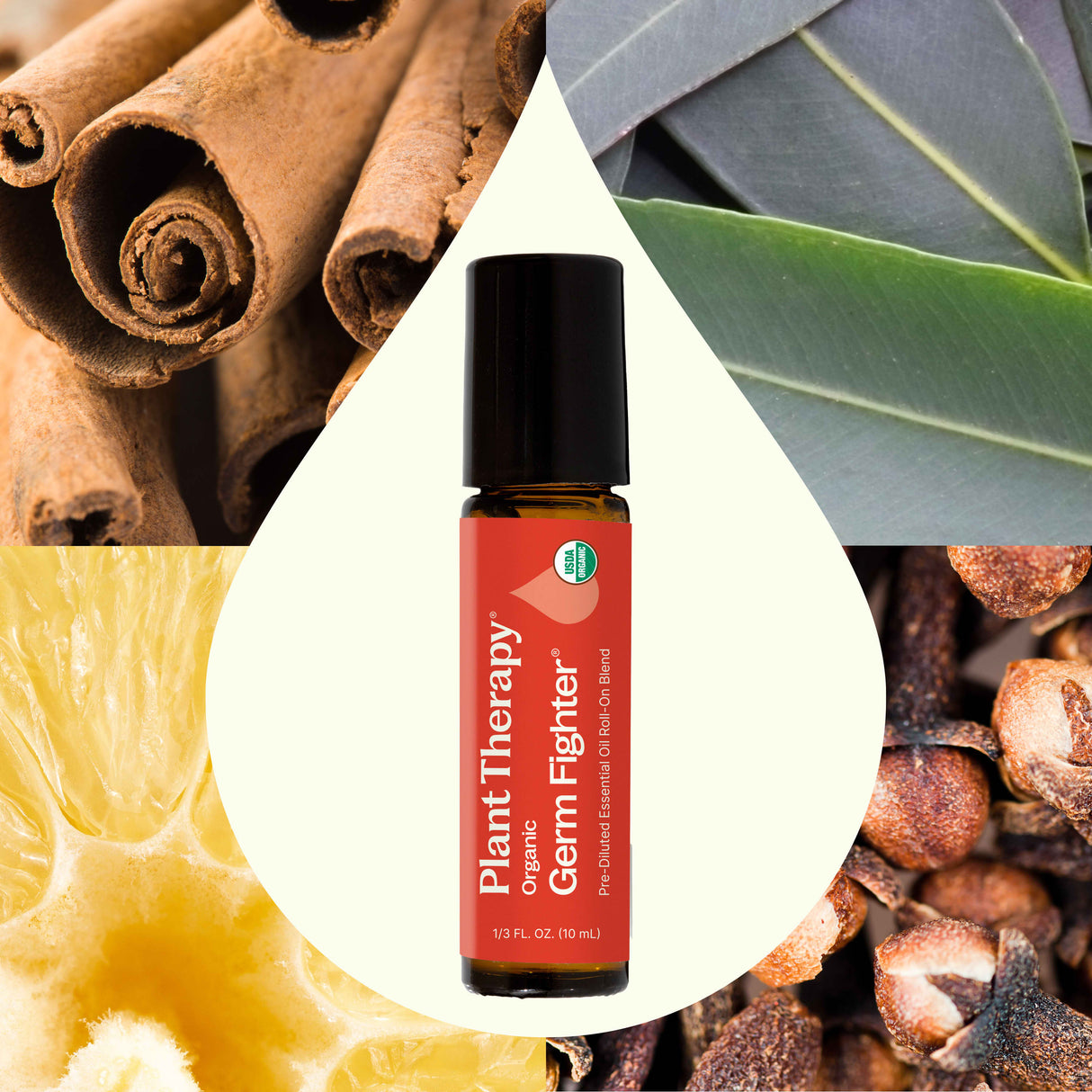 Organic Germ Fighter Essential Oil Blend Pre-Diluted Roll-On