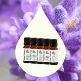 Organic Lavender 5-Pack