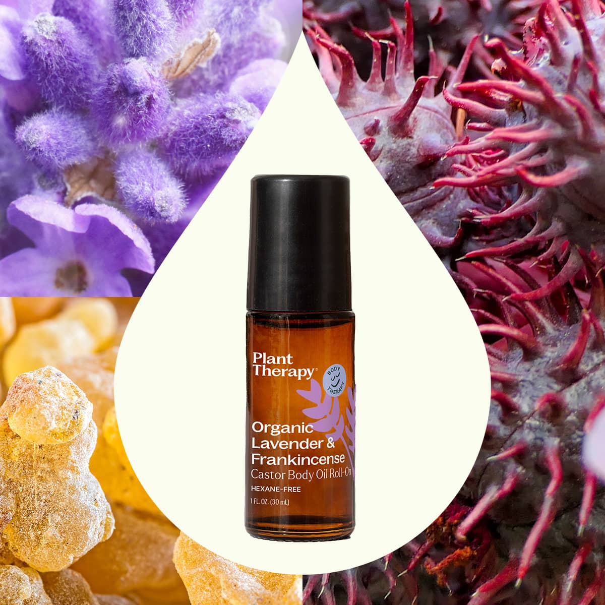 Organic Lavender & Frankincense Castor Body Oil Roll-On 30 mL