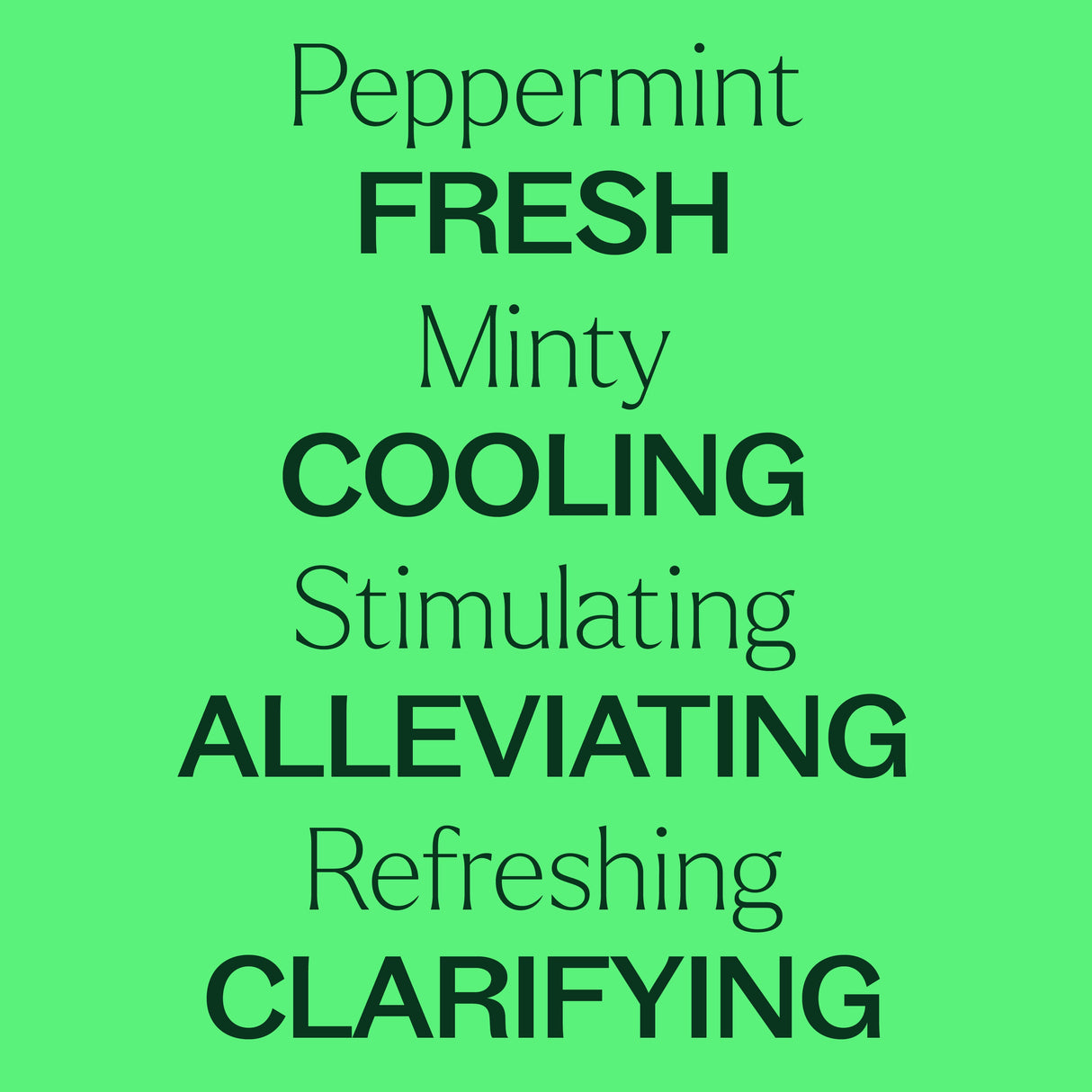 Organic Peppermint 5-Pack