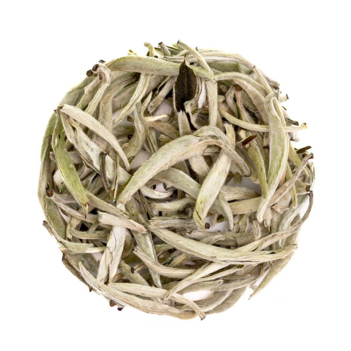 Organic Silver Needle White, Bulk Loose Leaf White Tea, 16 Oz.
