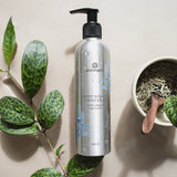 Sweet Sunrise Conditioner (240ml)- Collective