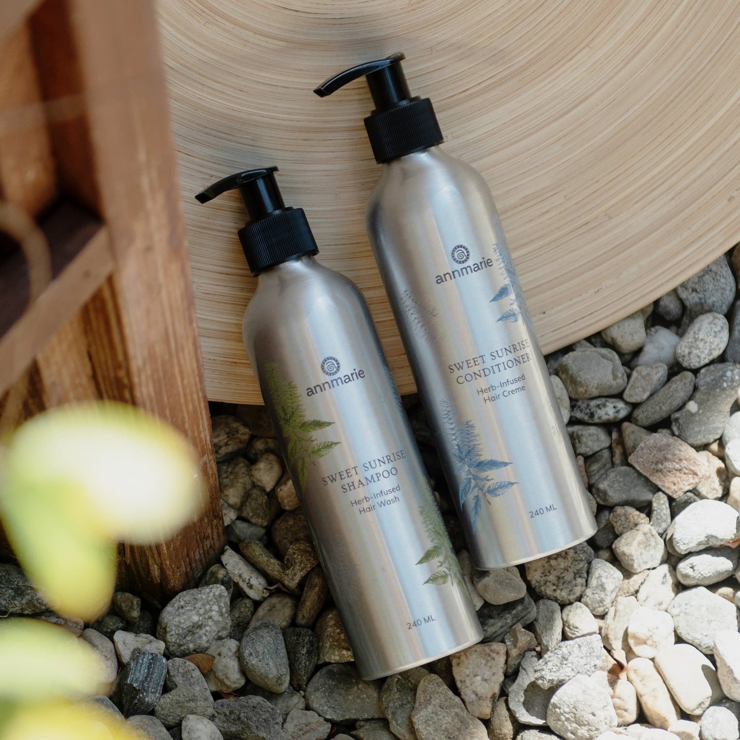 Sweet Sunrise Conditioner (240ml)- Collective