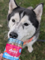 Freeze Dried Salmon - Salmon Pops