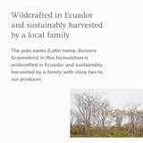 Palo Santo Hair & Body Mist (4oz)- Collective