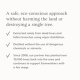 Palo Santo Hair & Body Mist (4oz)- Collective