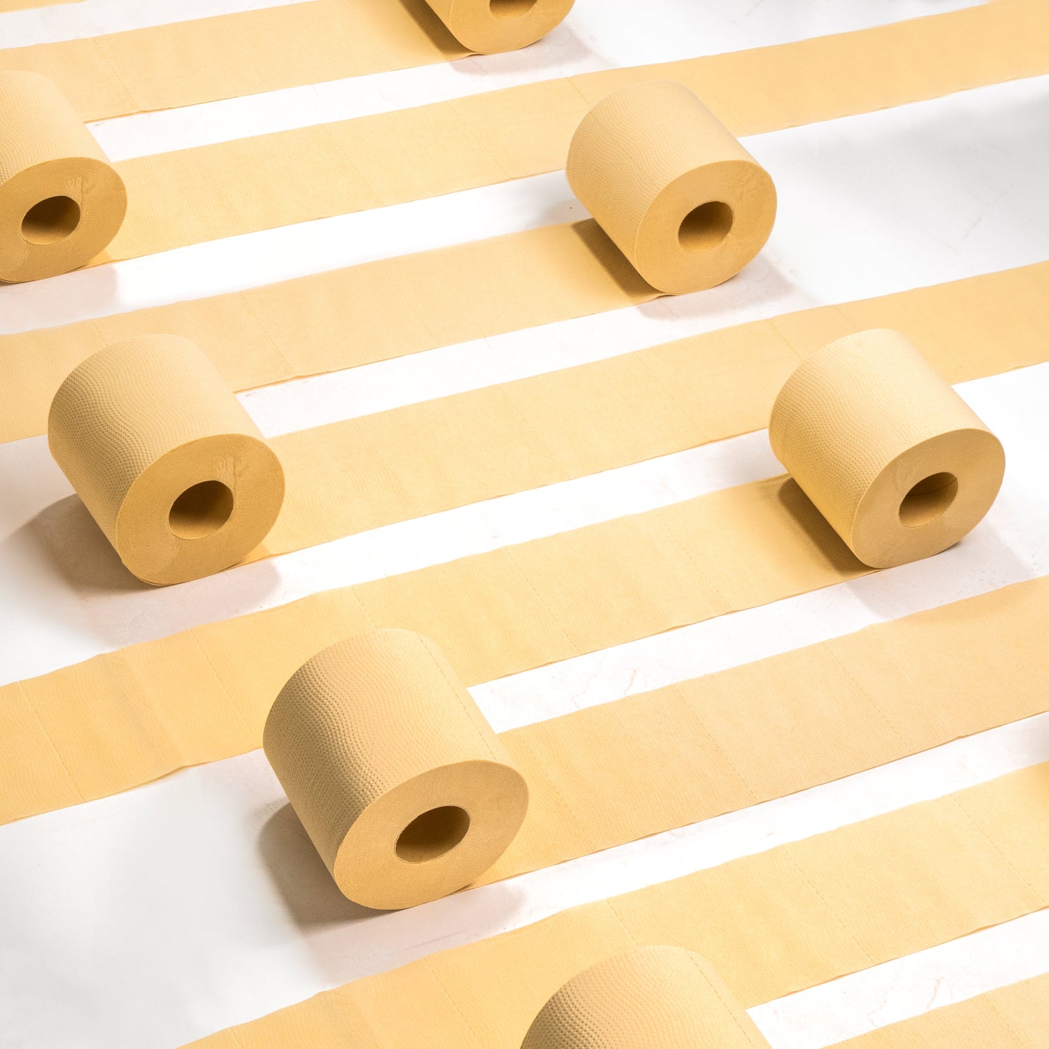 Panda Eco Paper | Bamboo Toilet Paper