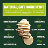 COASTAL FORESTS