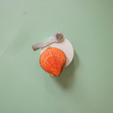 Leaves & Wood Solid Perfume Balm + Mother of Pearl Spoon