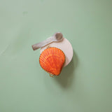 New Price! Shell Spoons