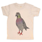 Pigeon