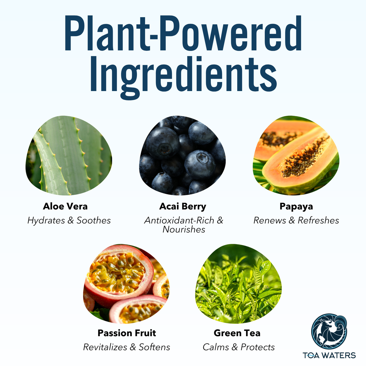 Debonair Body Wash - Jasmine and Teakwood