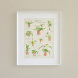 Plant Species Poster