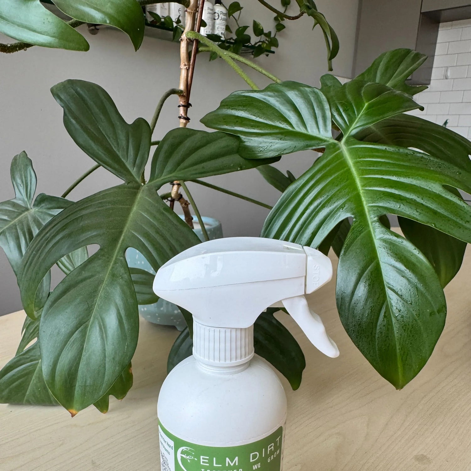 Plant Perfection