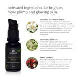 Wild Fruit Serum - Brightening Facial Complex (15ml)- Collective