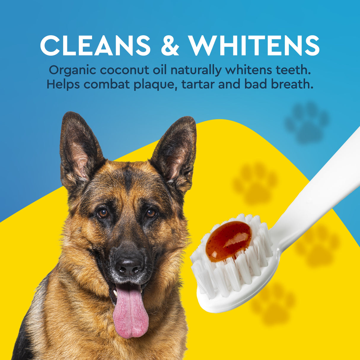 Organic Canine Dental Kit with FREE Critter Case