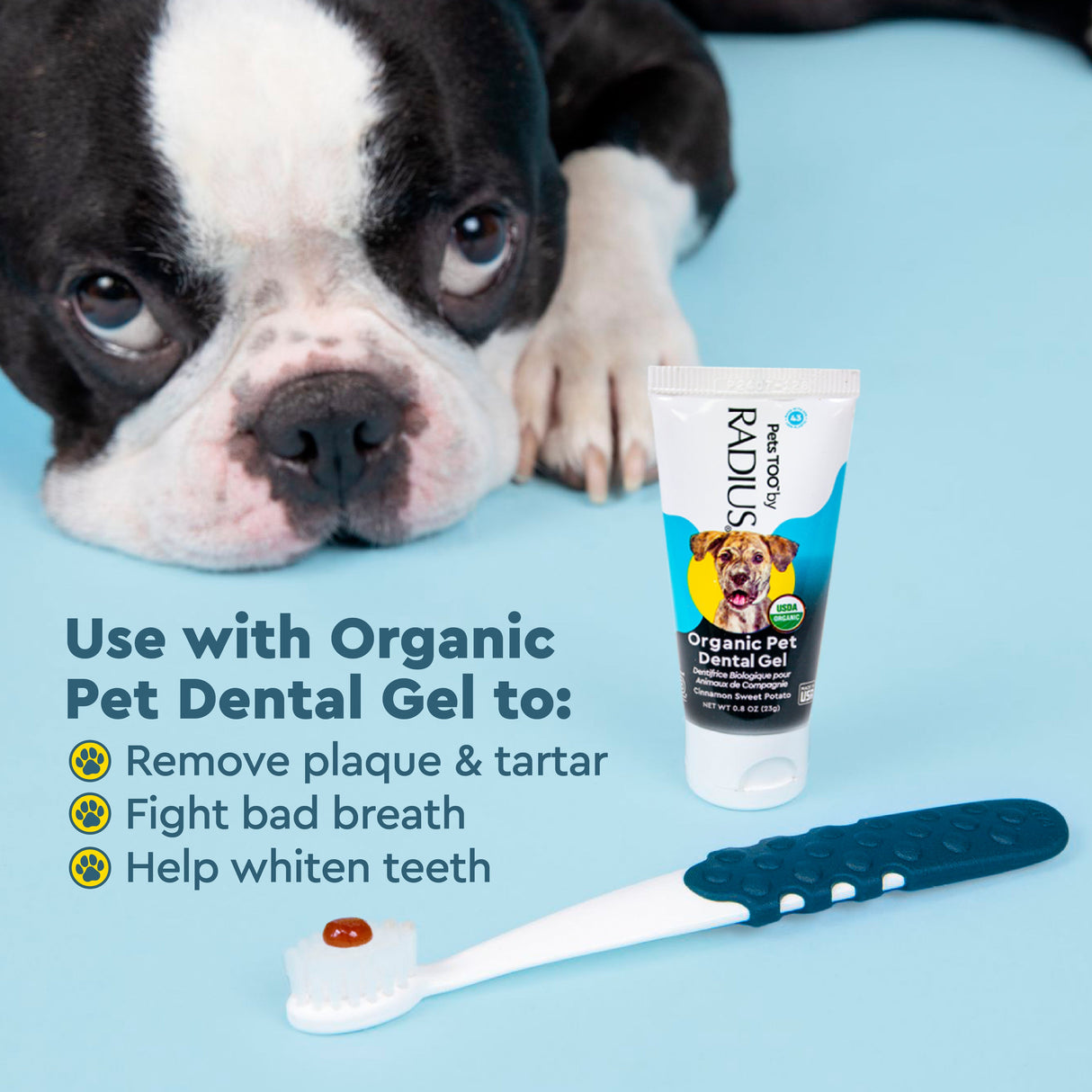 Lush & Plush Soft Pet Toothbrush