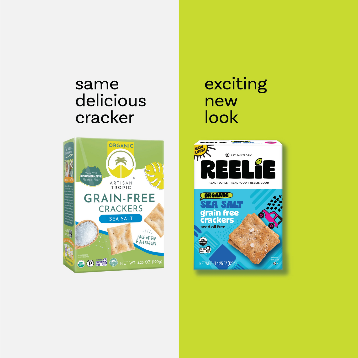 Sea Salt Grain-Free Crackers [6-Pack]