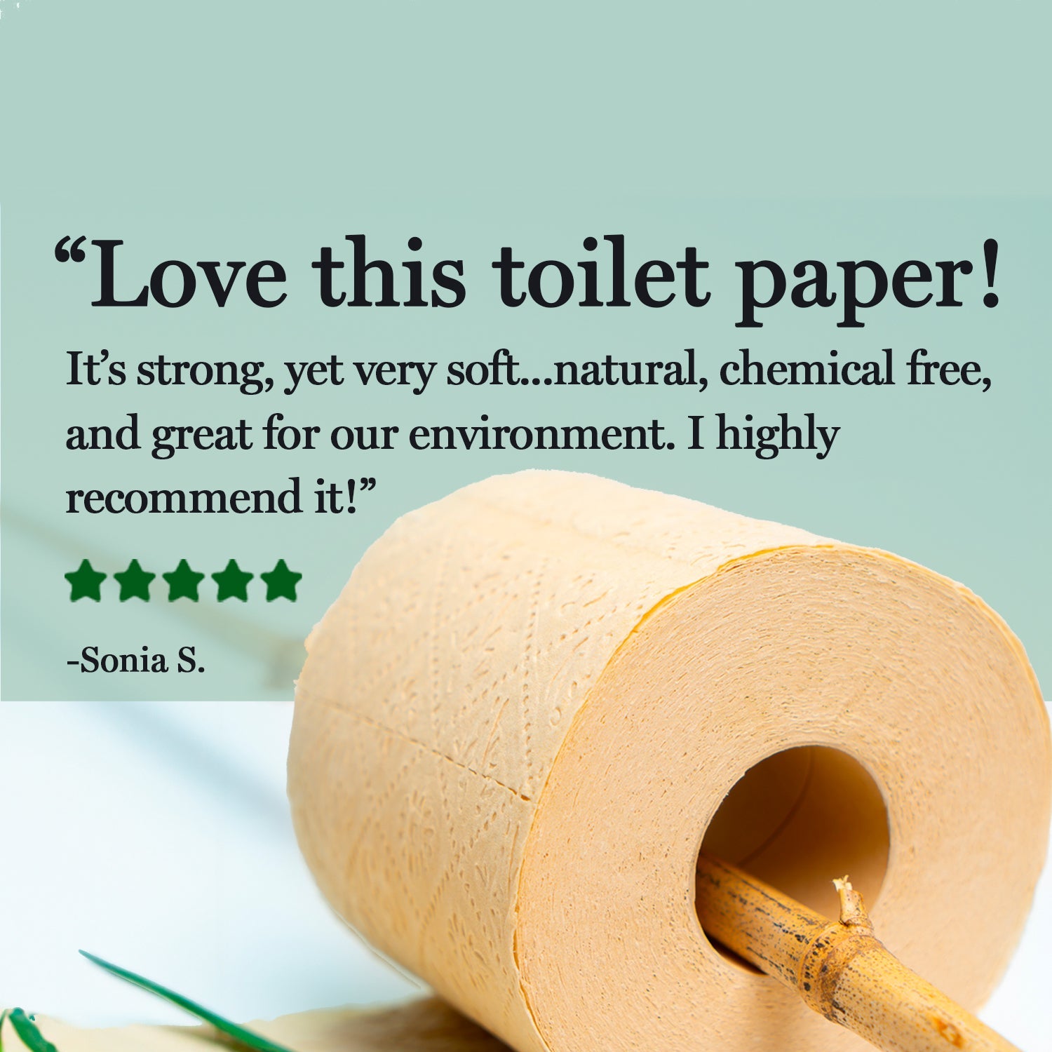 Panda Eco Paper | Bamboo Toilet Paper Sample