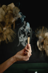 PALO SANTO