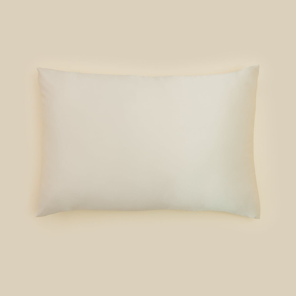 Mulberry Silk Pillowcase