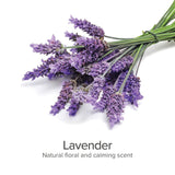 Between Bath Freshener (Lavender)