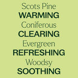 Scots Pine Essential Oil