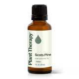 Scots Pine Essential Oil