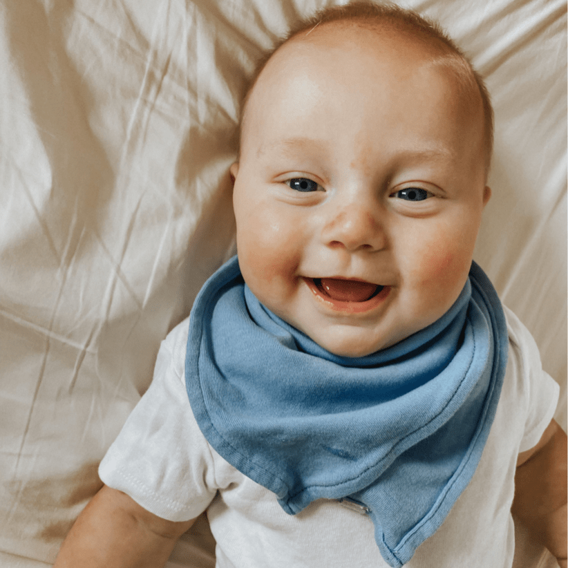 basics bib |  periwinkle blue