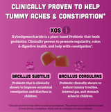 Kids Prebiotic & Probiotic Gummies, Mixed Berry (120 ct)