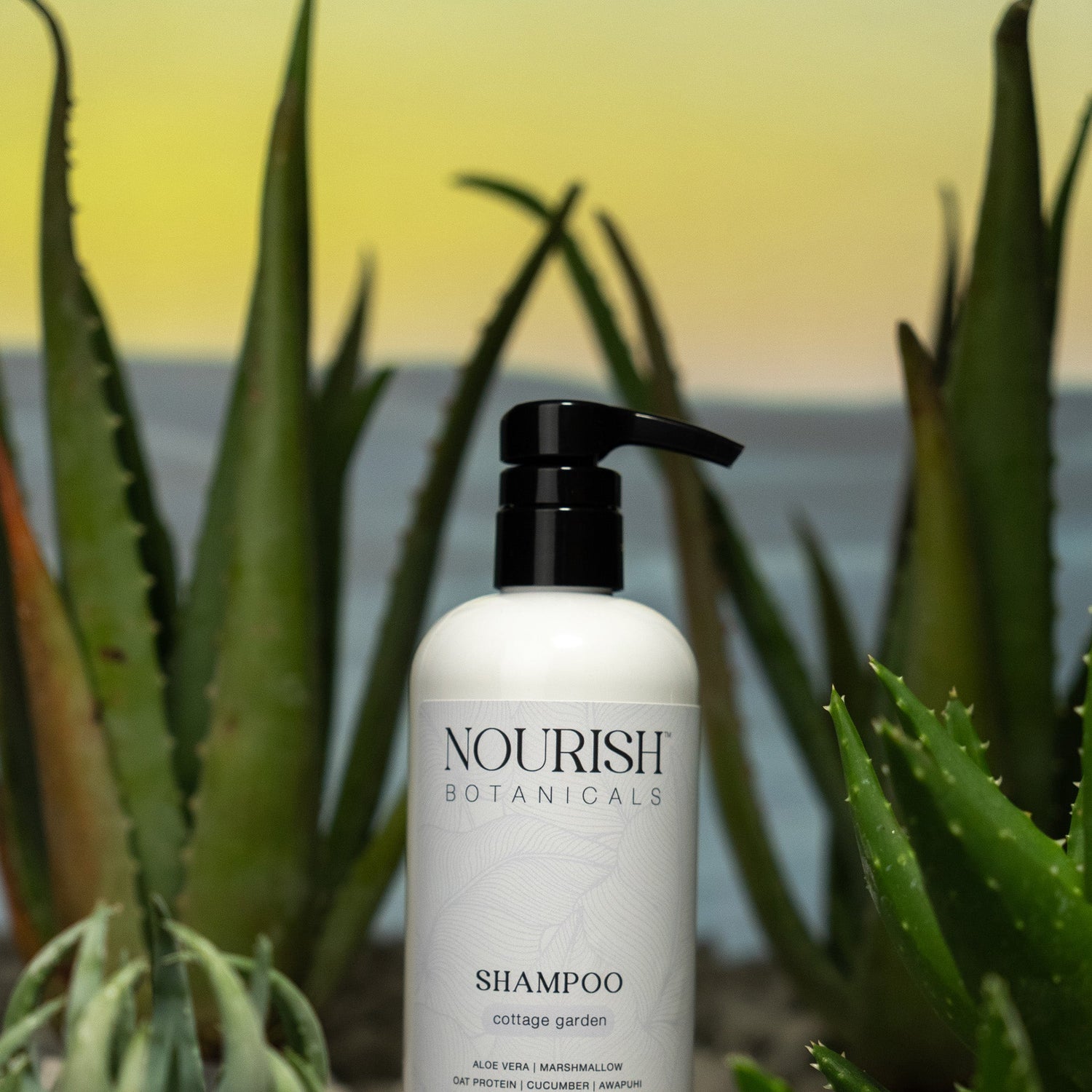 Aloe Vera Shampoo | Cottage Garden